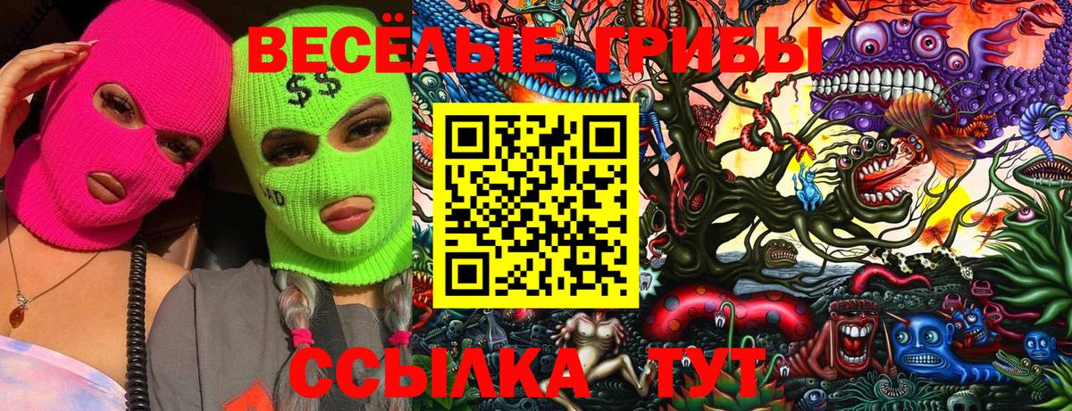 Галлюциногенные грибы прущие грибы Северск