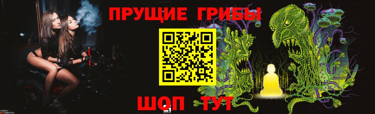 Северск  сколько стоит  Вход с VPN  Псилоцибиновые грибы ЛСД 